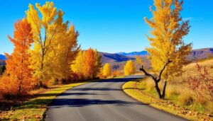 Radurlaub im Herbst