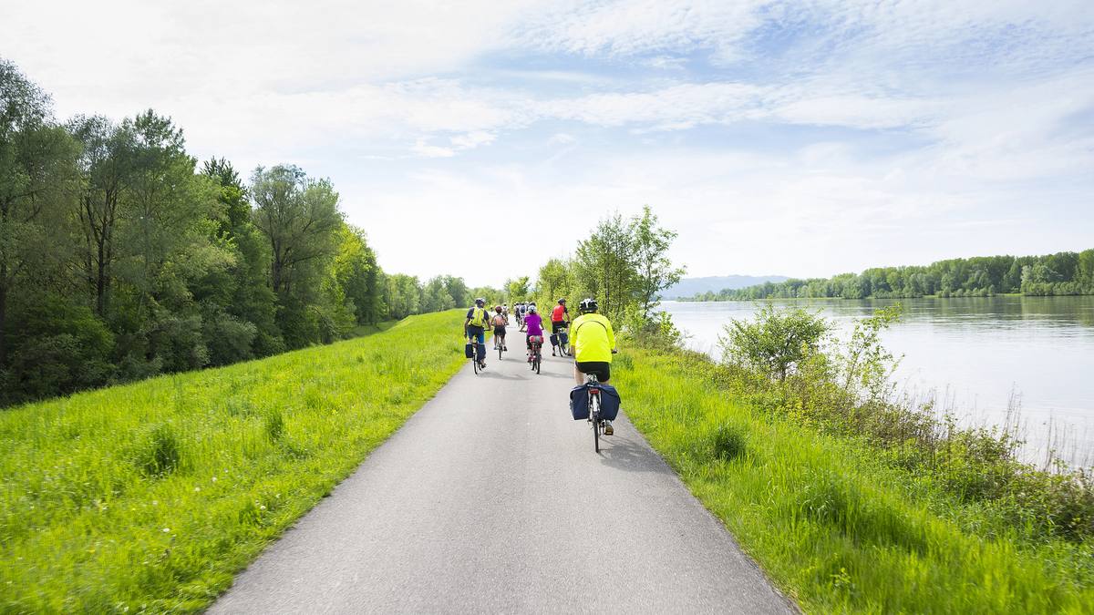Donauradweg Wachau: Gruppe von Radfahrern am Flussufer